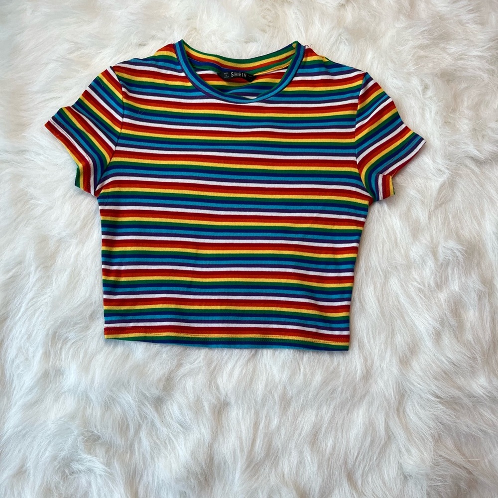 Rainbow crop top
